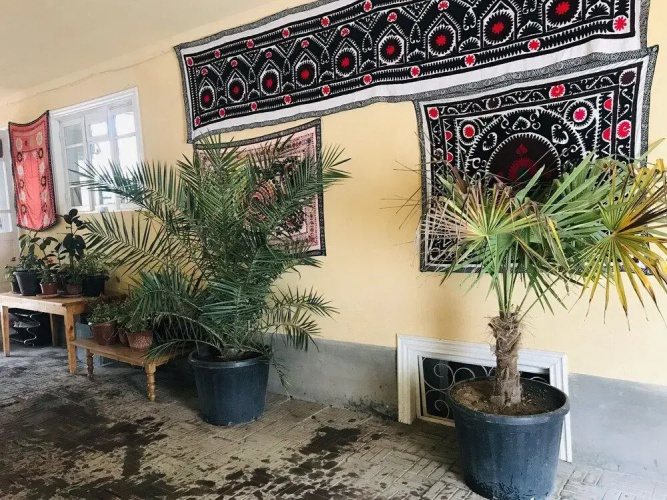 As-Salam Samarkand Hostel
