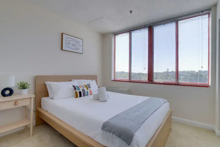 Gorgeous Apt with Rooftop City View
