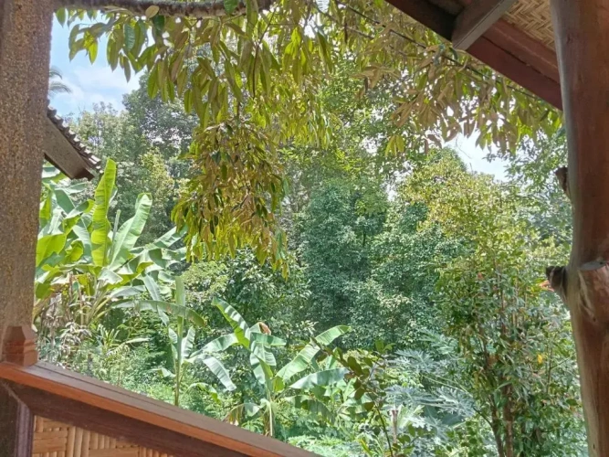 Double Bungalow