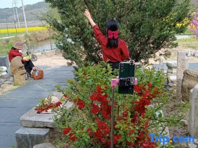 Zhaji Lanting Bieyuan Homestay