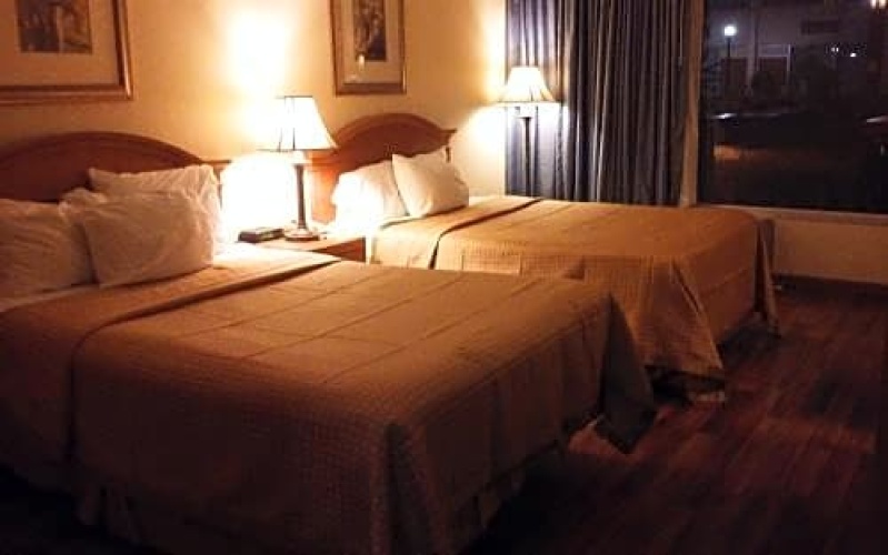 Standard Double room with pool view