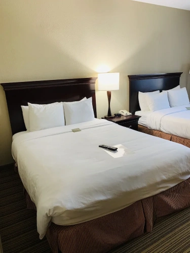 1 Bedroom Suite