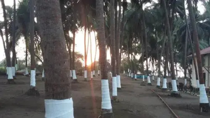 La Mer Beach Resort