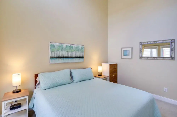'phoenix Nest' South Haven Condo: River View!