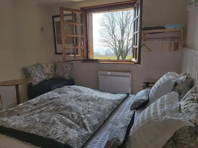 Standard Double room with mountain view