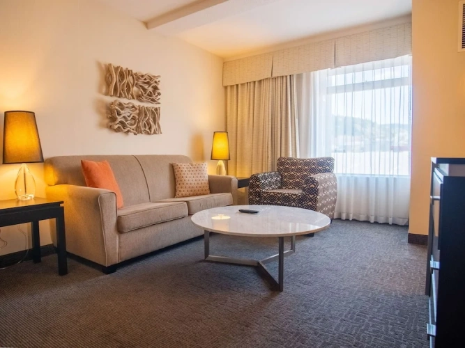 Premium Double Junior Suite with view