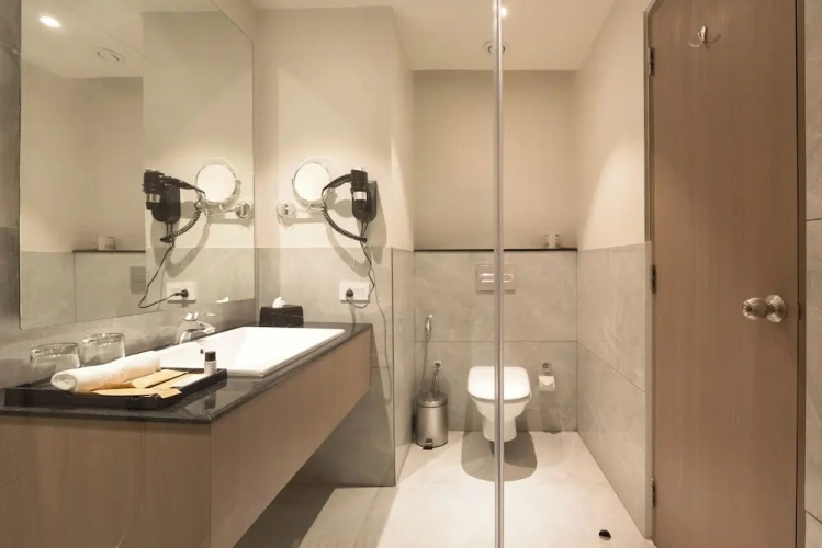 Deluxe Double room with city view