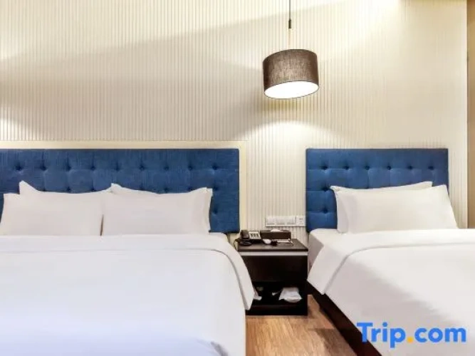 Business Family Suite