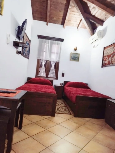 Standard Twin room with river view