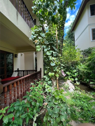 Deluxe Family Suite with balcony