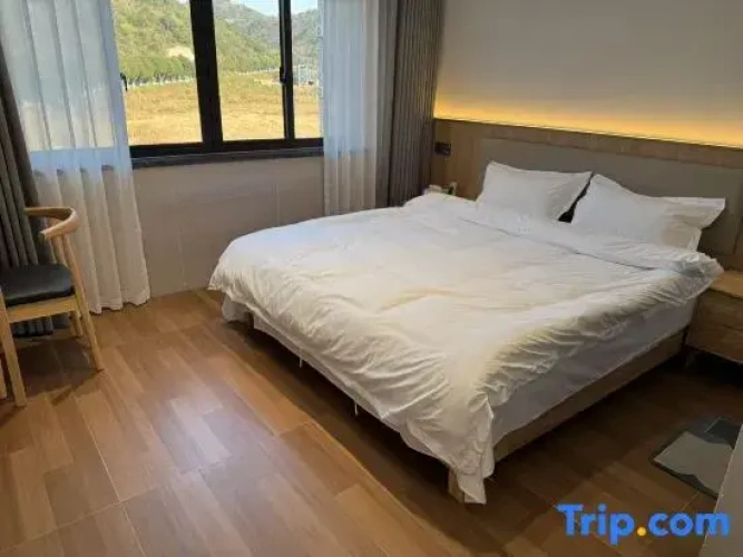 Standard Double room with mountain view