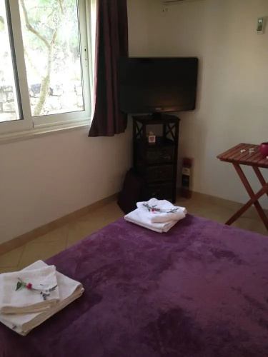 Apartments Jagoda