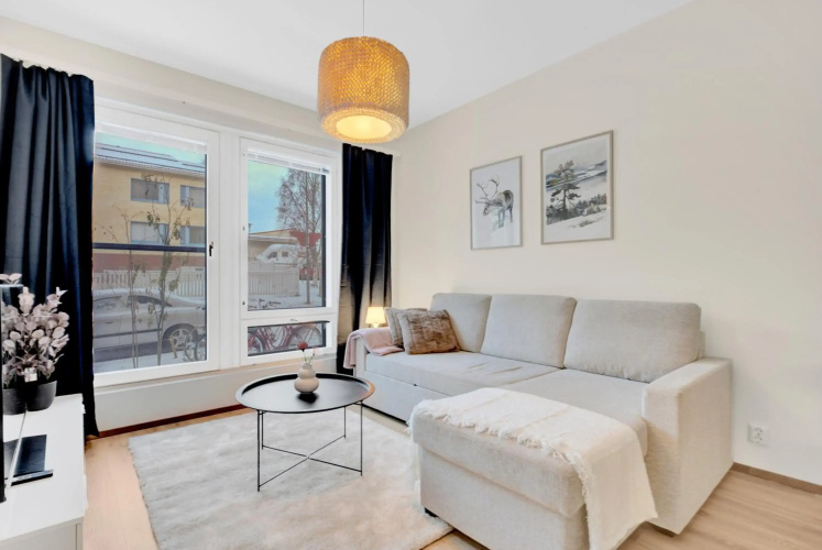 Apartment Scandinavia III