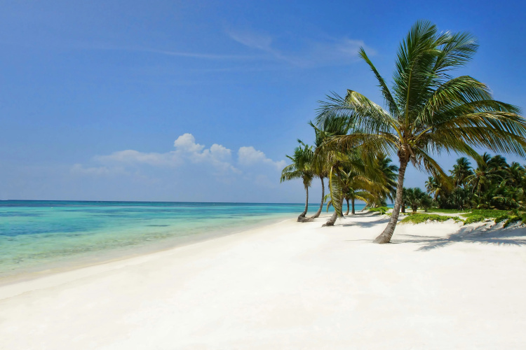 The Westin Puntacana Resort and Club photo 29