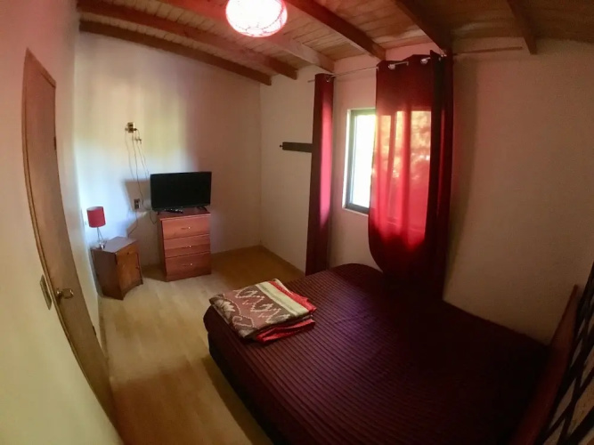 Gecko Hostel