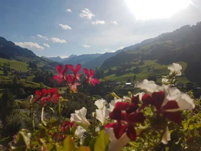 Comfort Double room with balcony and with mountain view