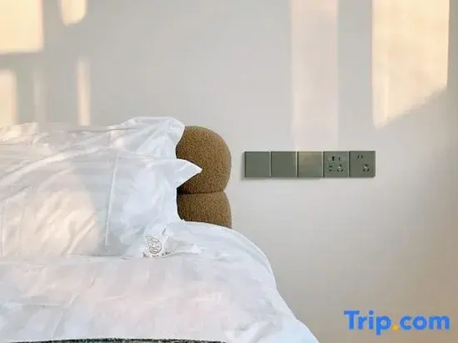 Standard Double room with mountain view