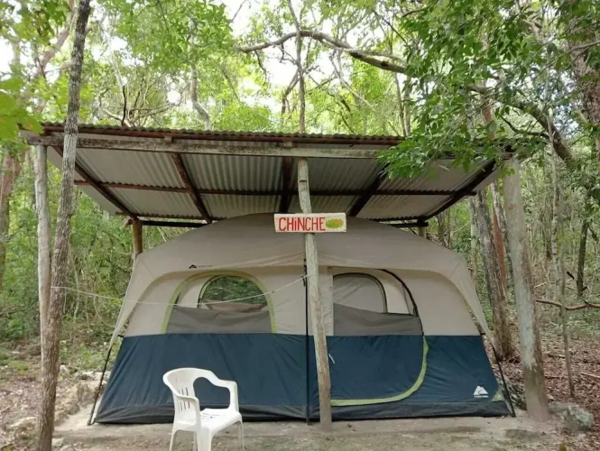 Tent