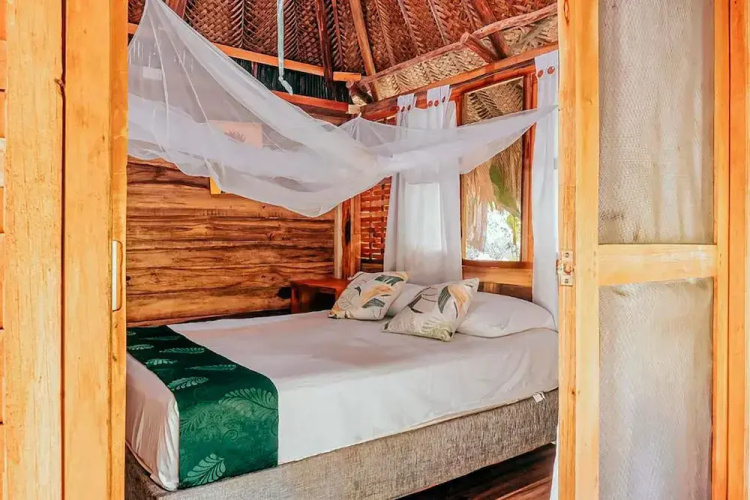 Magic Greeen Tayrona