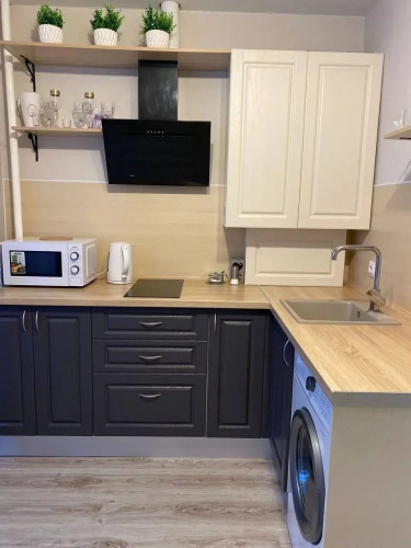 Фотография номера квартиры Апартаменты Атмосфера на Пригородной