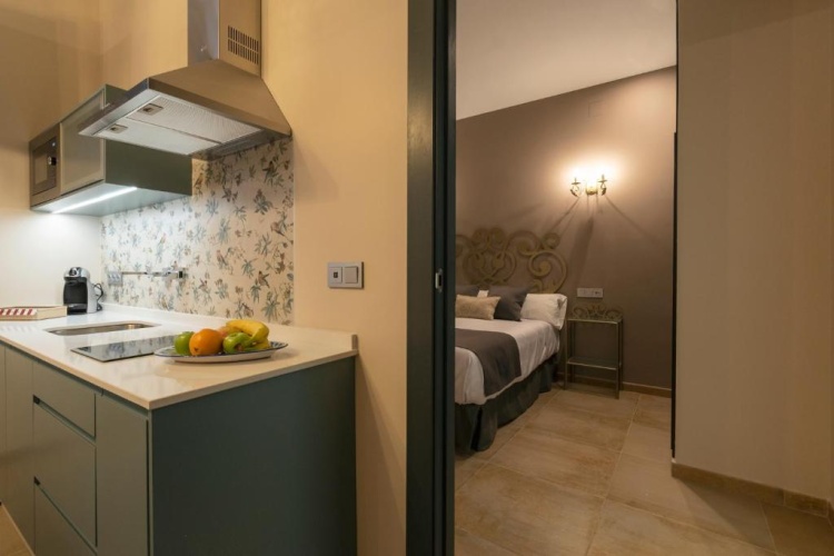 Deluxe Apartment