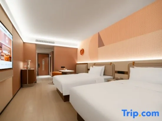 Executive Twin room