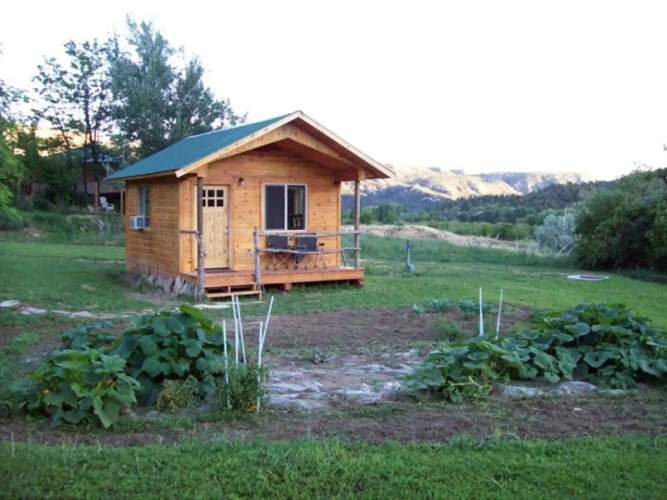 Buffalo Bungalow