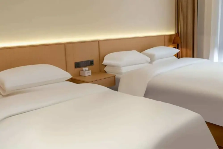 Premier Suite
