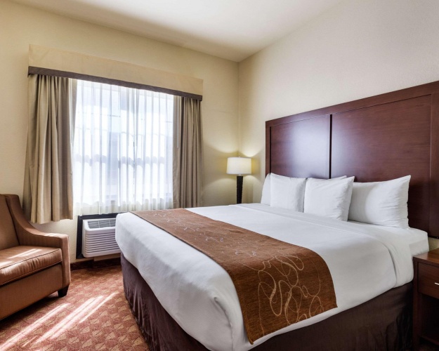 1 Bedroom Suite