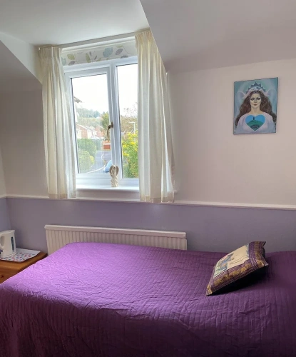 Classic Single room with mountain view
