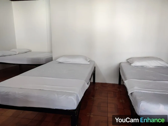 Bed in Dorm