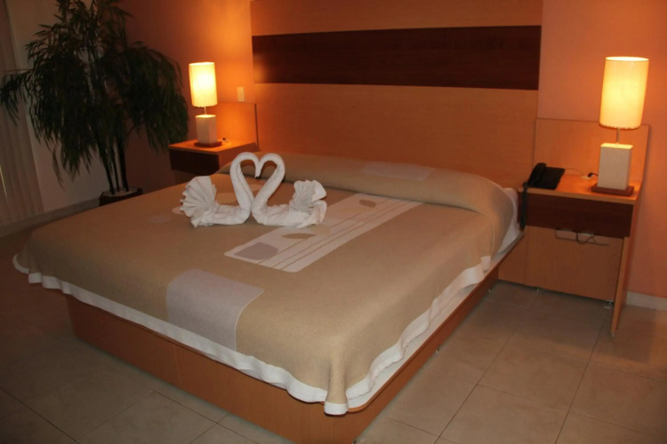 Hotel Real Zapopan