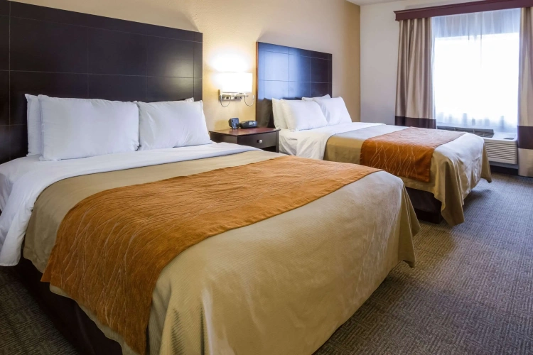 Standard Quadruple room