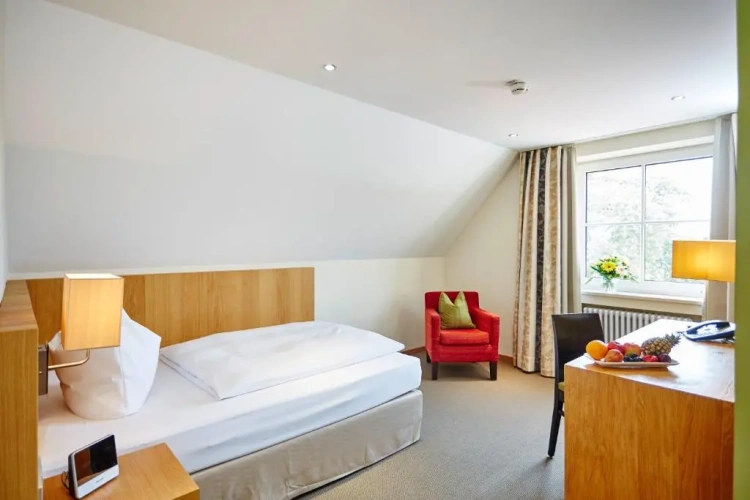 Superior Single room