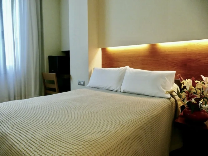 Basic Double room