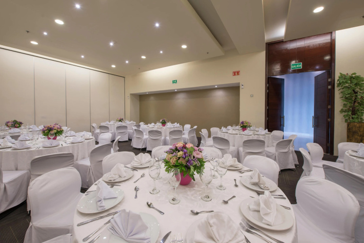 Victoria Ejecutivo Hotel photo 21