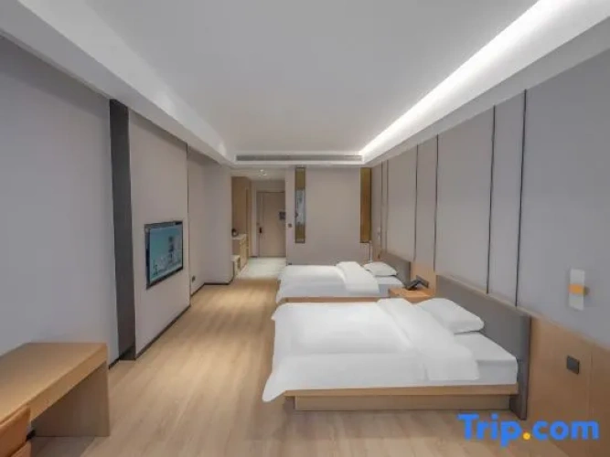 Executive Twin room