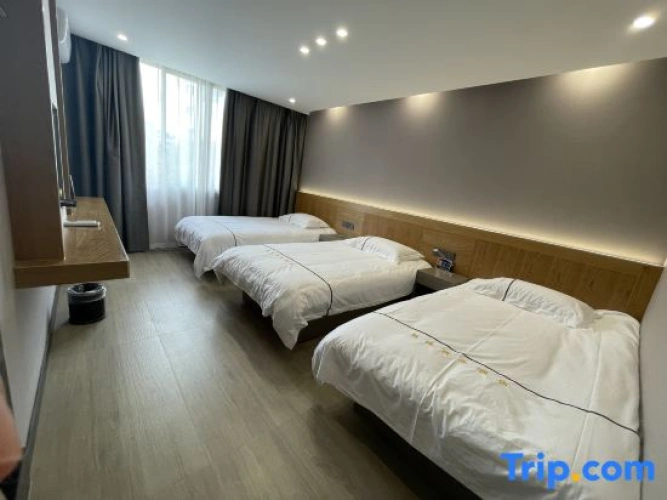 Business Triple room