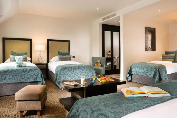 Castleknock HotelOver view