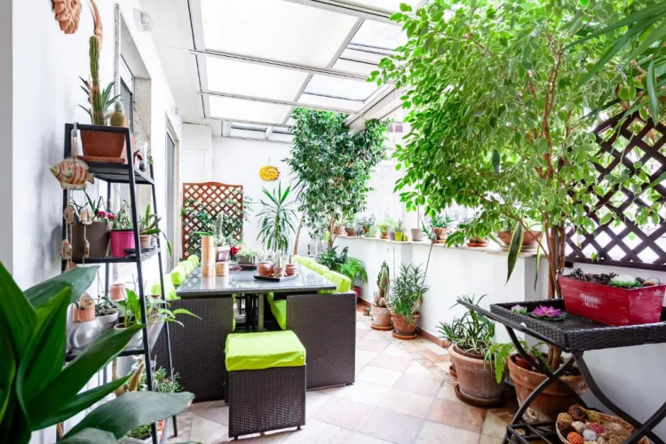 Beatrice Apartment