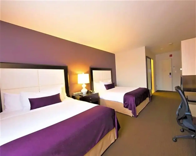 Deluxe Double room with view