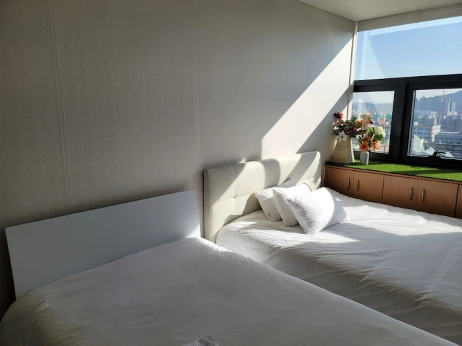 Comfort Studio