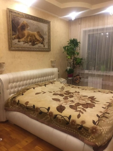 Фотография номера квартиры Апартаменты на проспекте Московский 6