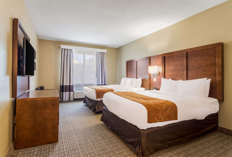 Quadruple Suite