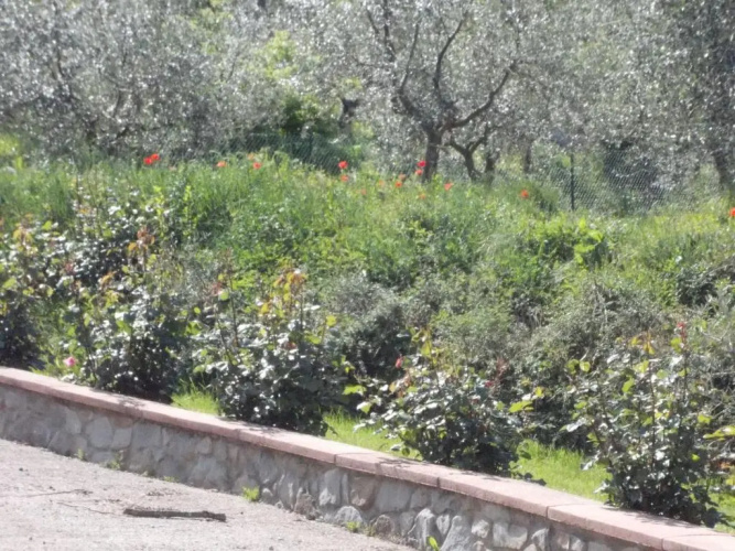 Villa Paola