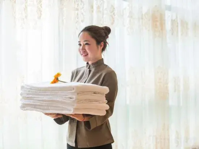 Vienna Hotel (Baoying Times Square)