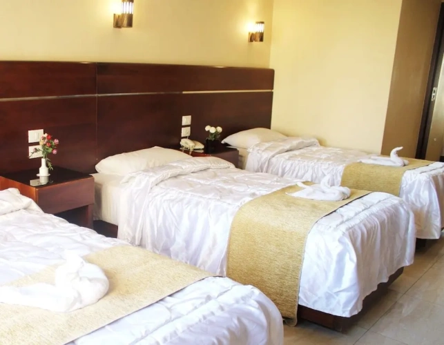 Deluxe Double room with river view