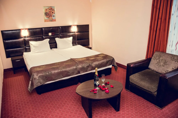 Zdravets Hotel Wellness & SPA