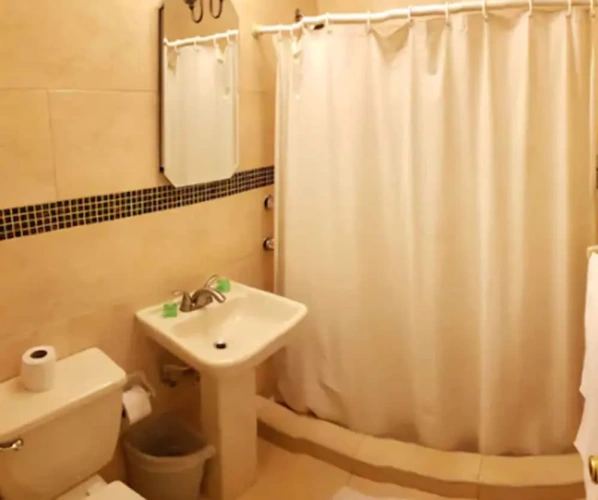 Deluxe Suite with city view