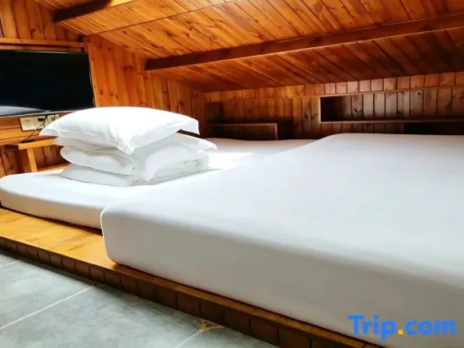Economy Twin room
